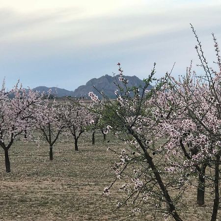 Cortijo De Los Castellanos Las Ventanas 외부 사진