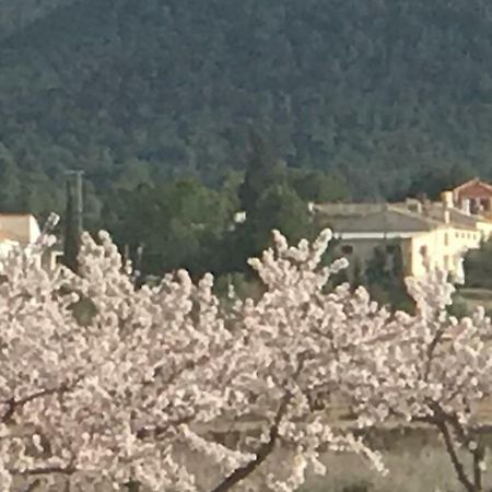 Cortijo De Los Castellanos Las Ventanas 외부 사진