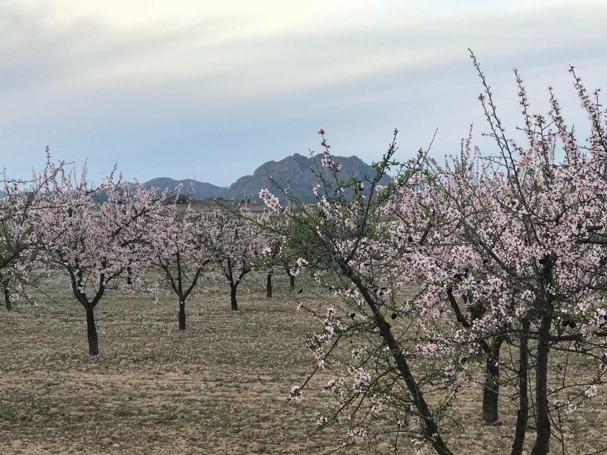 Cortijo De Los Castellanos Las Ventanas 외부 사진